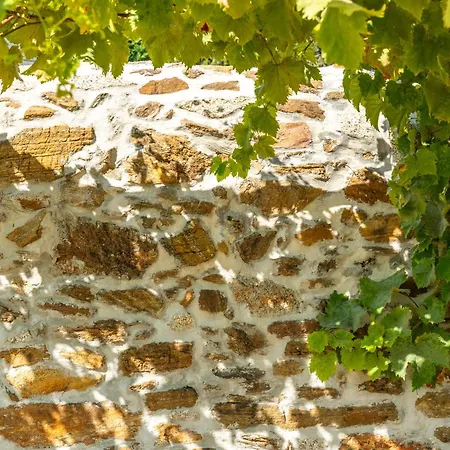 Landhuis Casa Da Brea - &