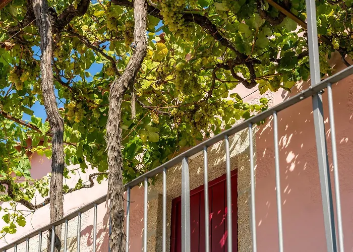 منزل ريفي Casa Da Brea - & فيانا دو كاستيلو