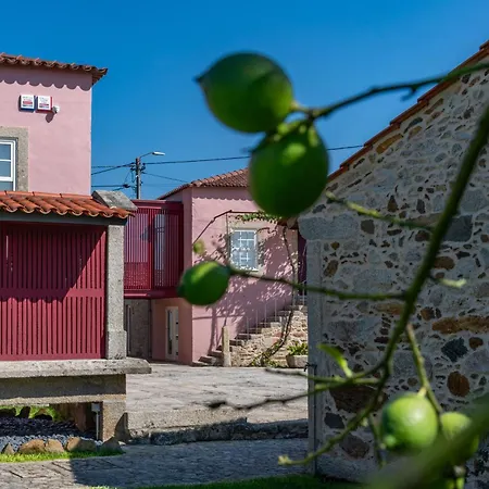 Landhuis Casa Da Brea - &