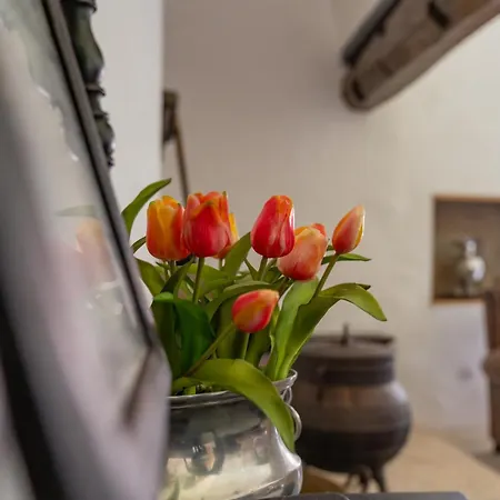 Kır Evi Casa Da Brea - & *