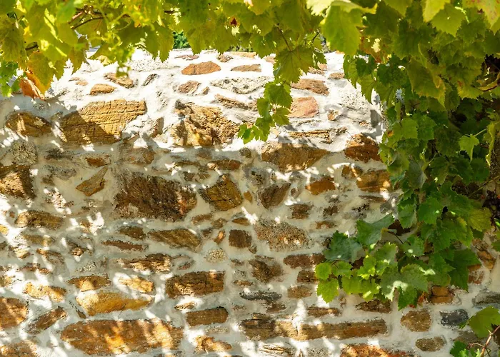 Landhuis Casa Da Brea - &