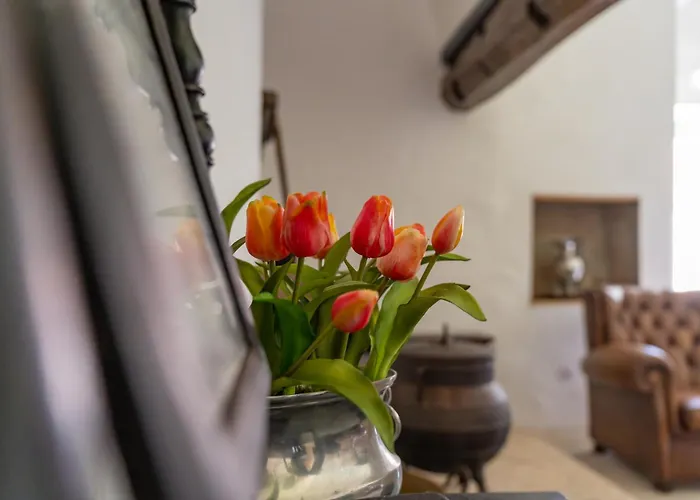 컨트리하우스 Casa Da Brea - & *